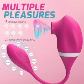 Female Masturbation Dildo Vibrator Clitoris Stimulus 13 Charging Line Fast Charging 102w Universal Roses for women Roses Anniversary birthday gif (Color: Red)